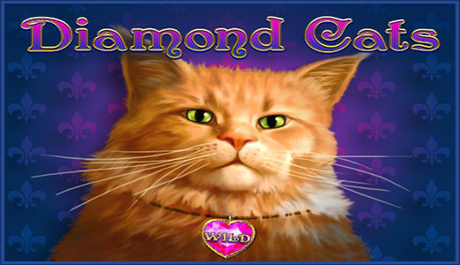 Diamond Cats