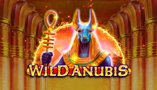 Wild Anubis