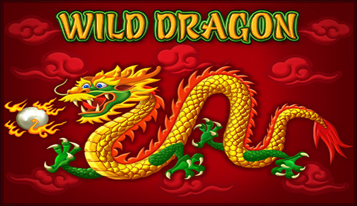 Wild Dragon
