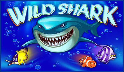 Wild Shark